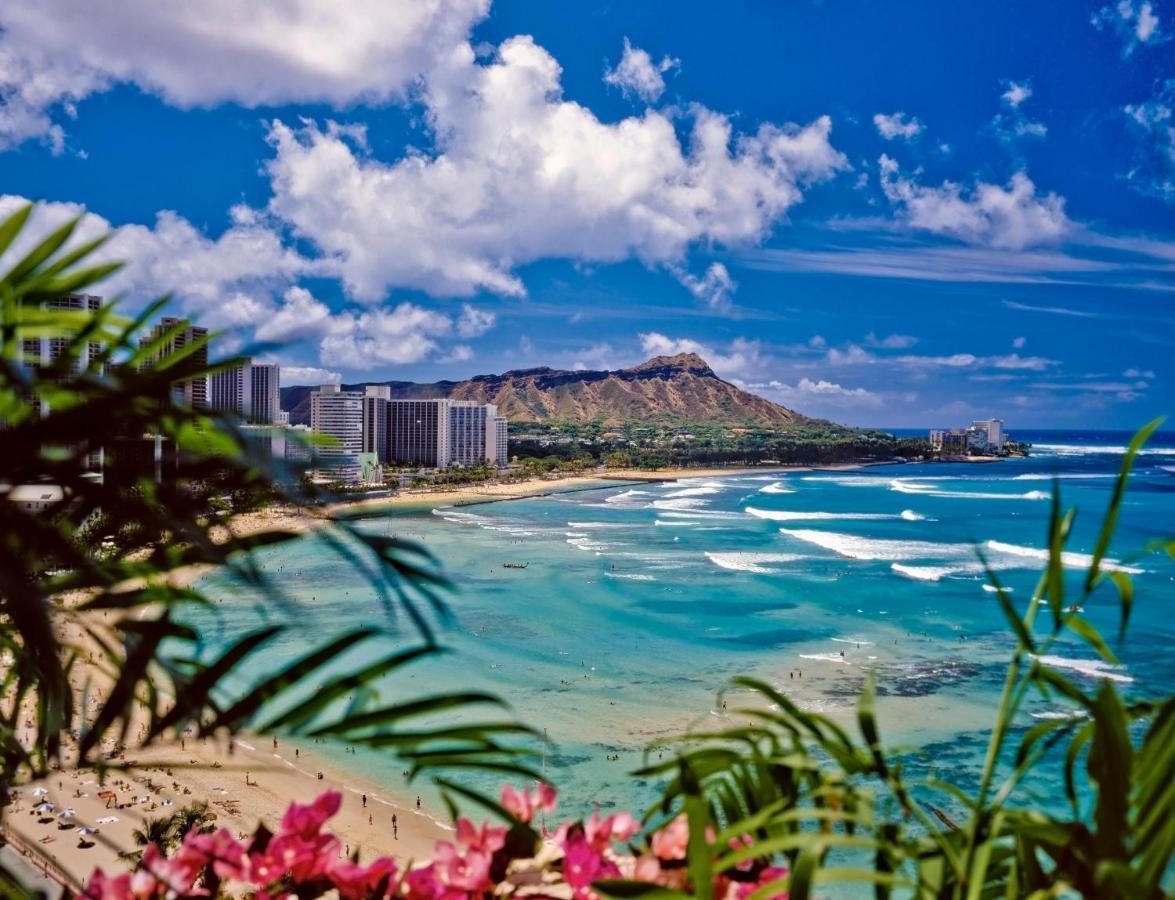 Great Diamond Head Views, 2Br Condo With Free Parking! 檀香山 外观 照片